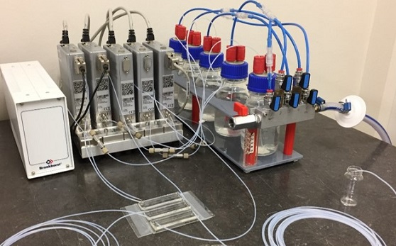 Coriolis-based mass flow sensors