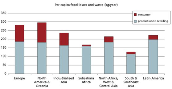 Lebensmittelverschwendung und Abfall
