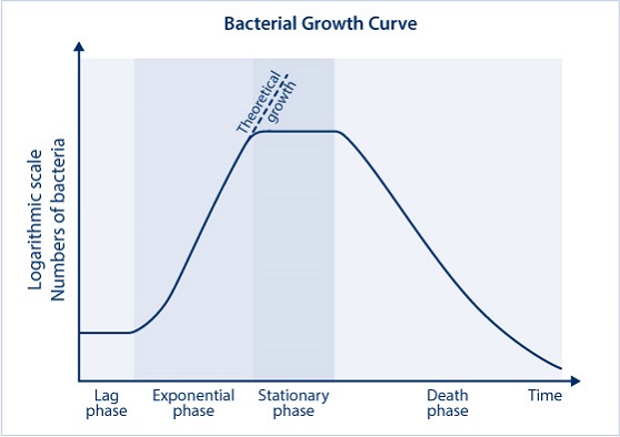 bioreactor bacteriële groeicurve
